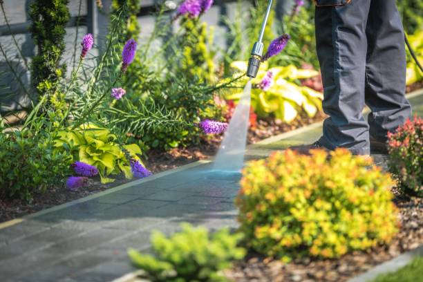 Best Parking Lot and Garage Cleaning  in Trion, GA