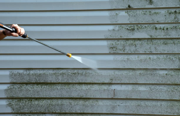 Best Driveway Pressure Washing  in Trion, GA